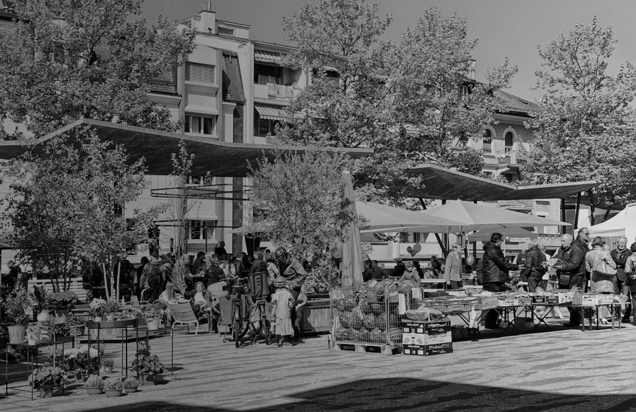 marché de renens